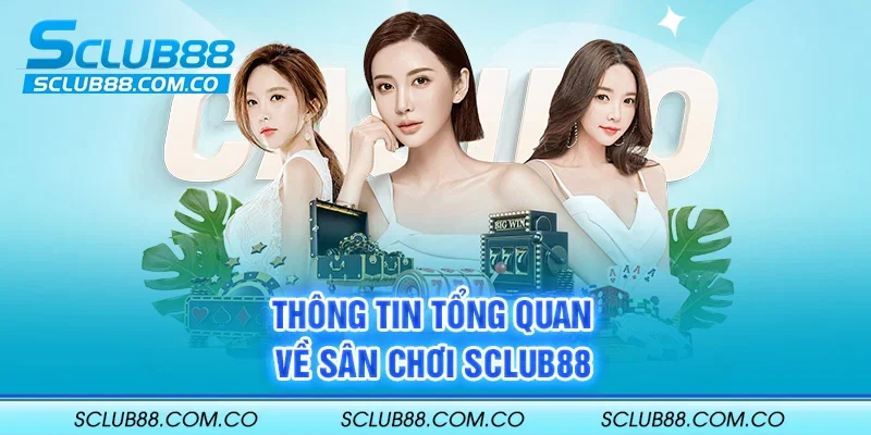 Hướng dẫn 188Bet - Kiểm tra tài khoản và điều kiện giao dịch